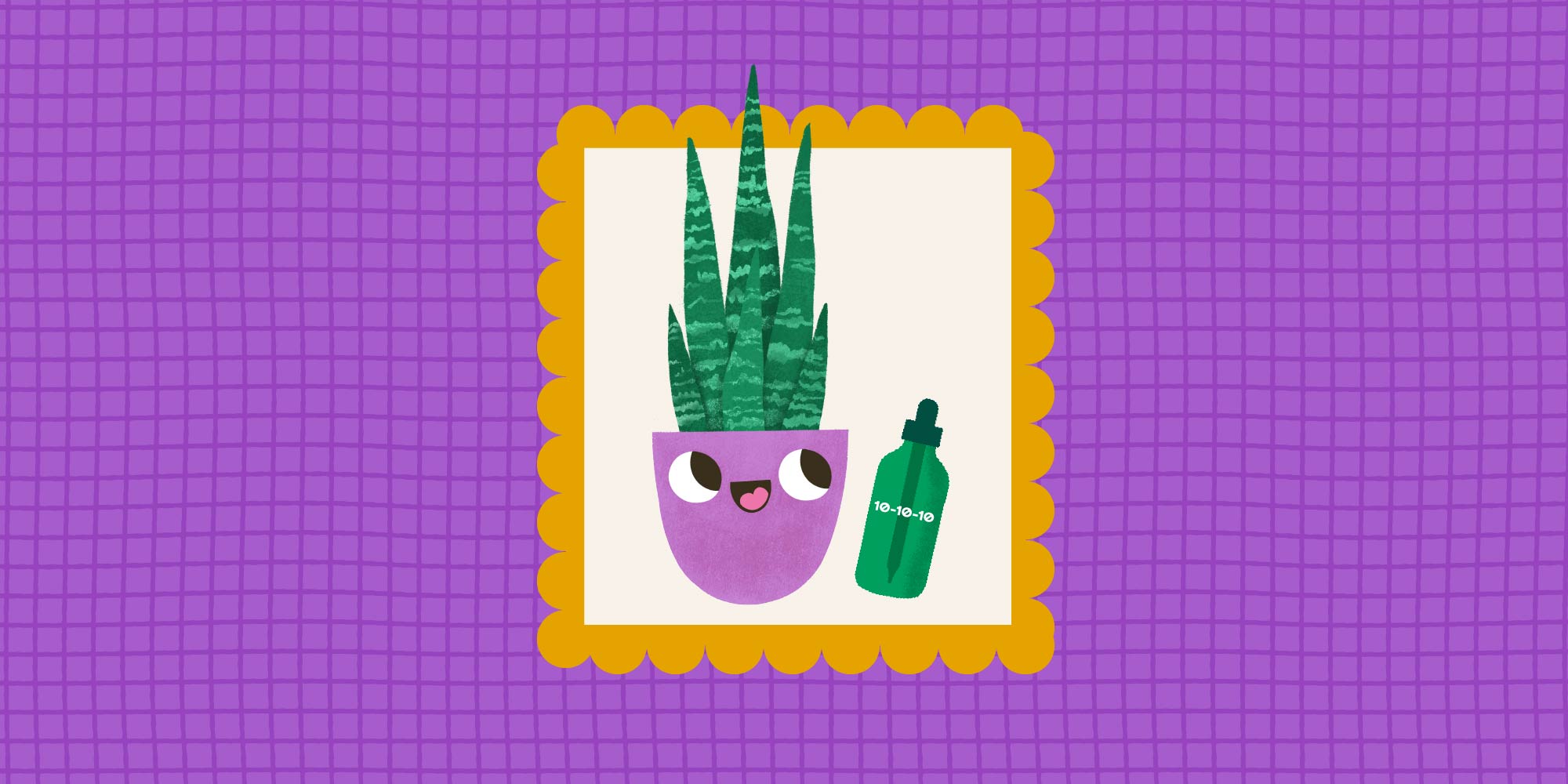 Fertilizer and Houseplants: 3 Lessons Every Beginner Should Know
