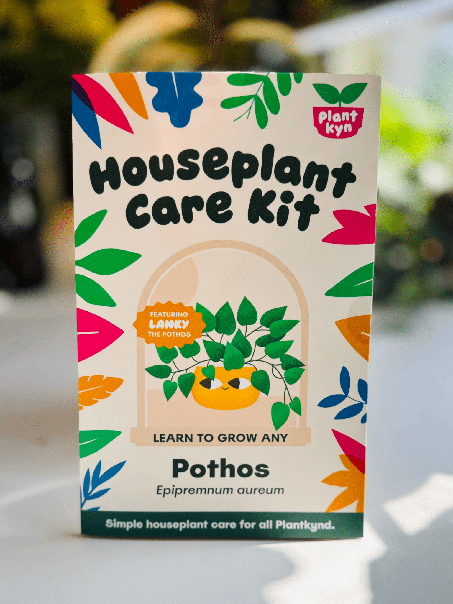 pothos care card Pothos Care Kit – Plantkyn
