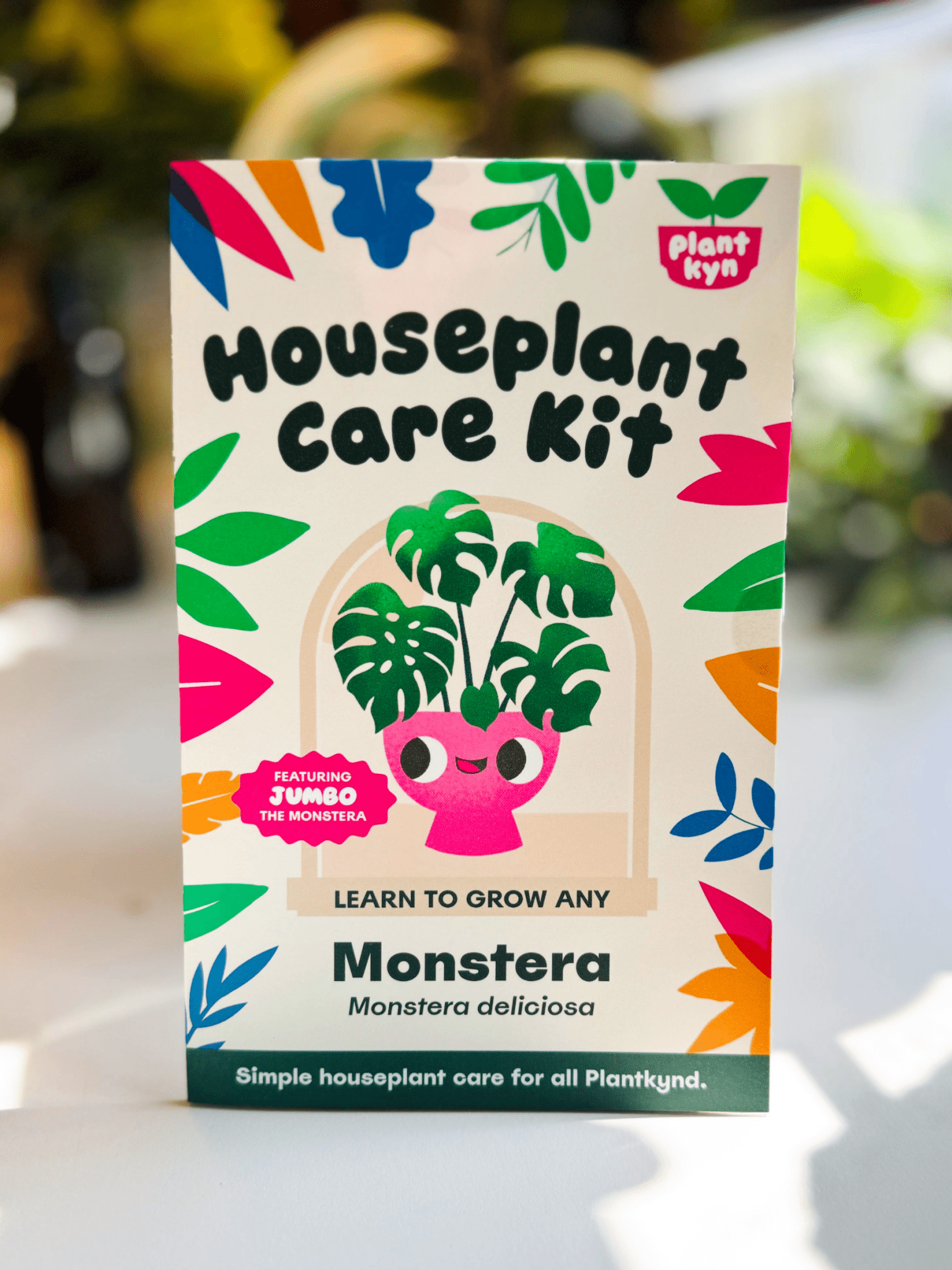 house plant care kit Monstera Care Kit – Plantkyn