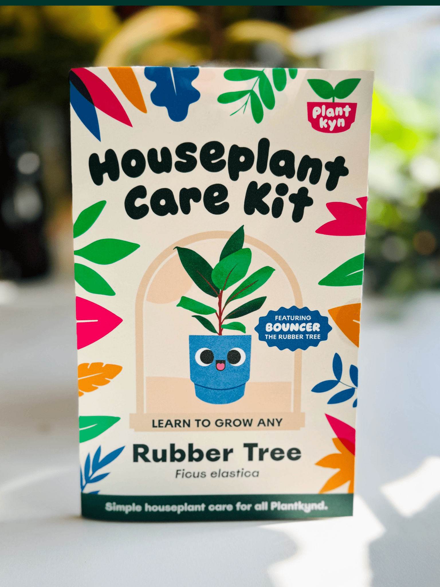 rubber tree products Rubber Tree Care Kit – Plantkyn