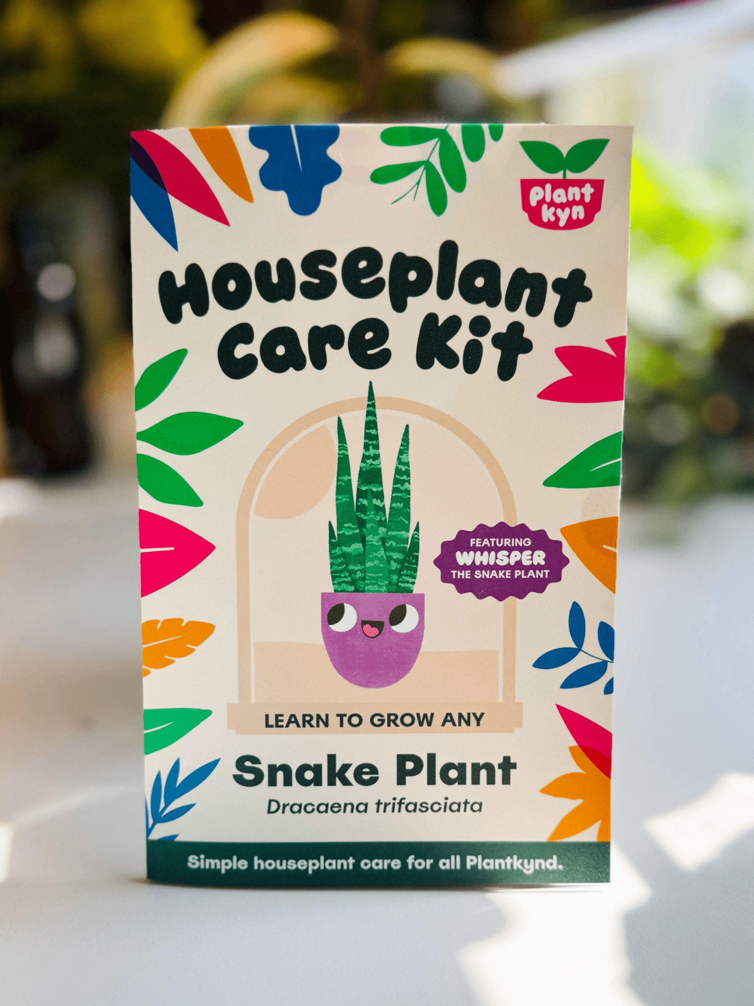 brookstone indoor plant care kit Snake Plant Care Kit – Plantkyn