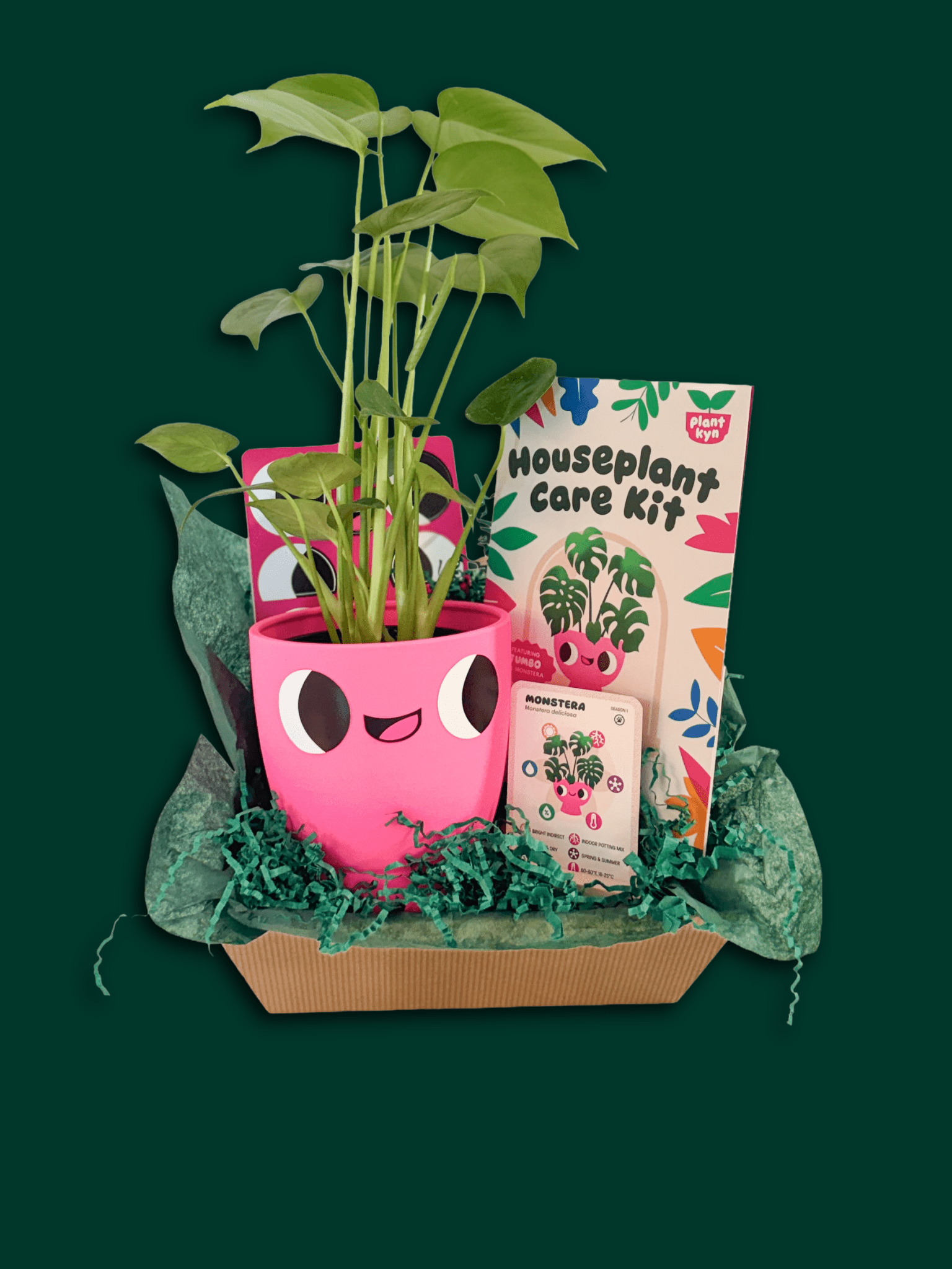 brookstone indoor plant care kit Monstera Care Bundle – Plantkyn