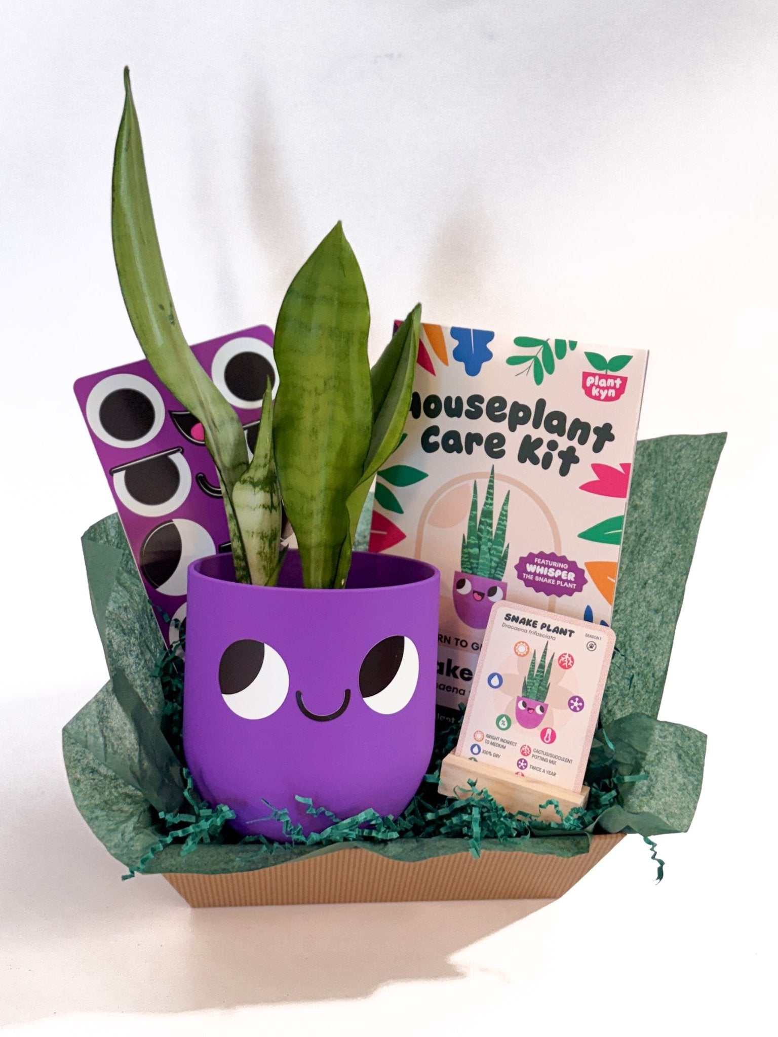 Plant Care Bundle