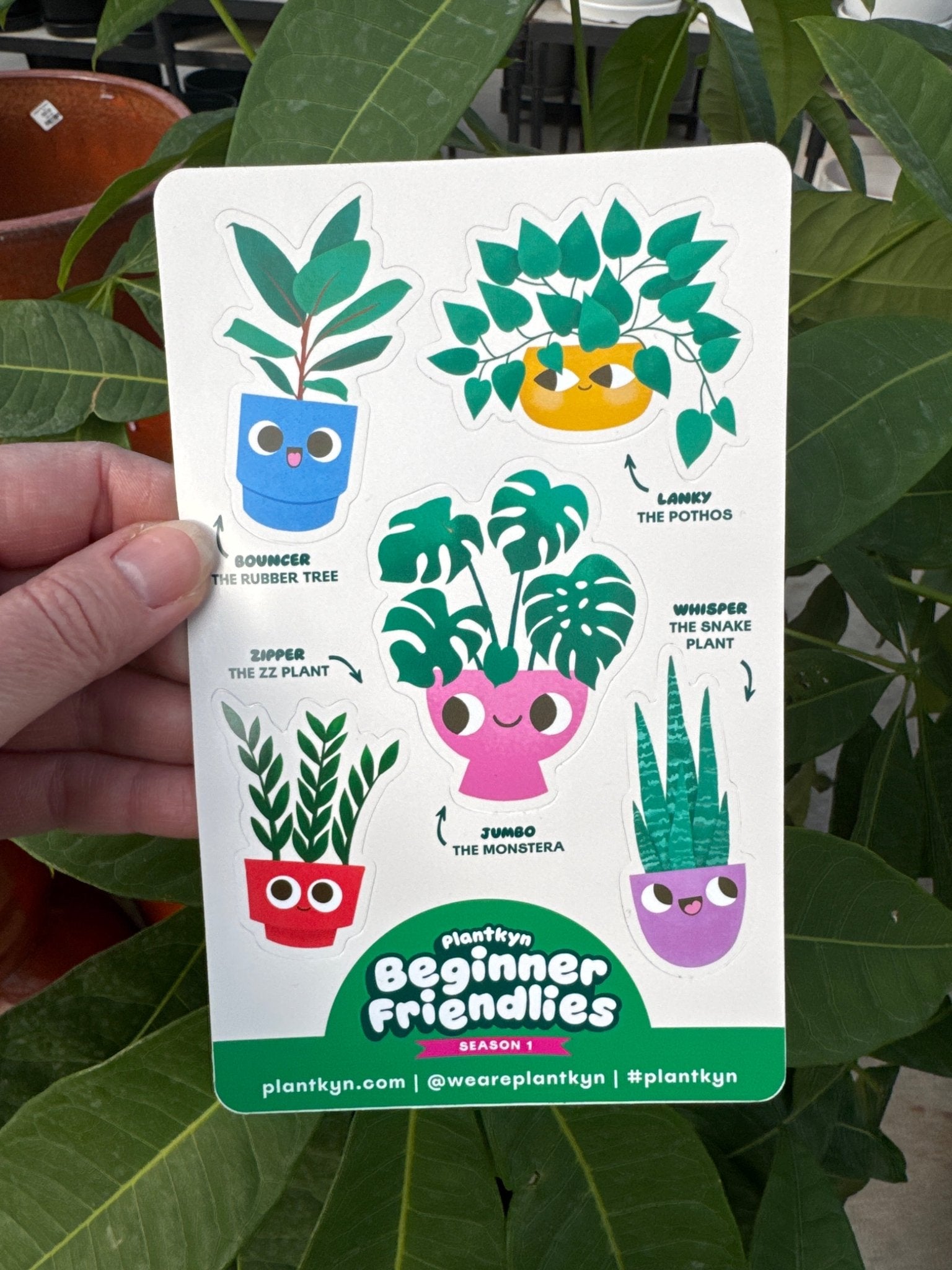 Beginner Friendlies Sticker Sheet