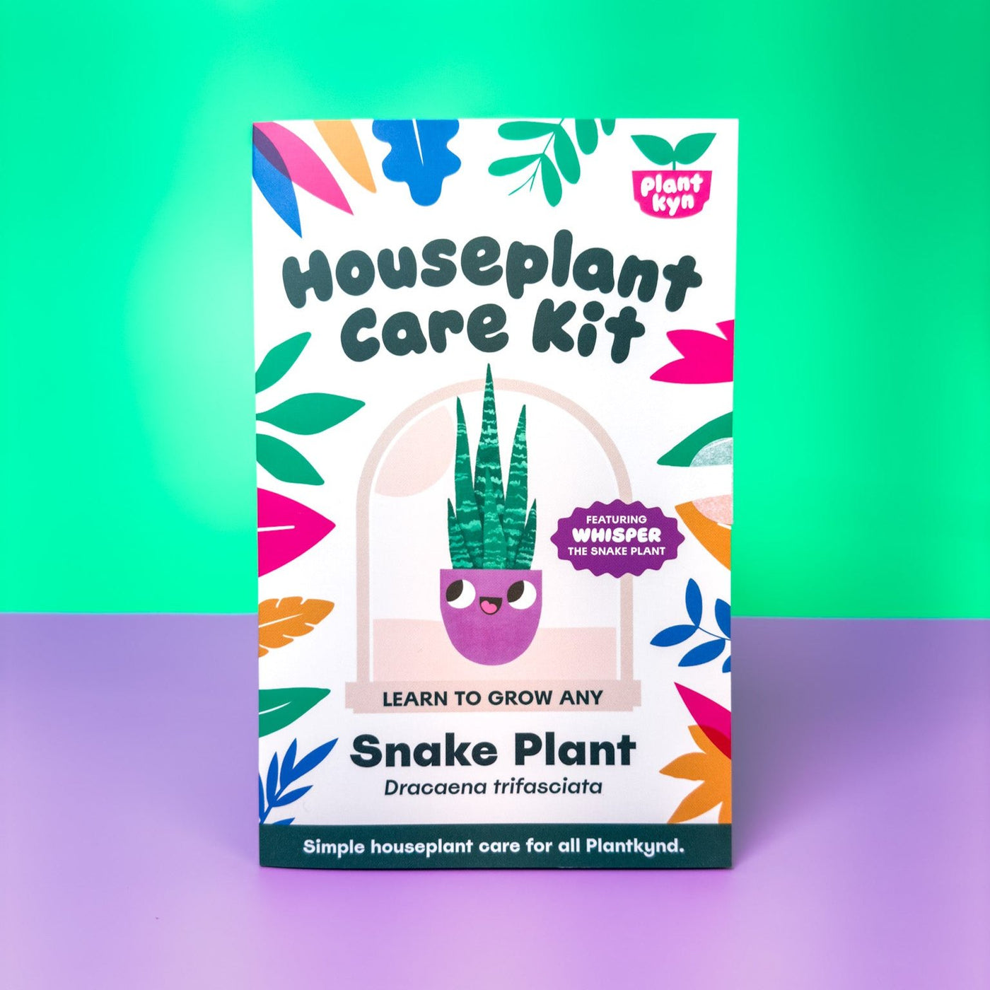 Snake Plant Care Kit