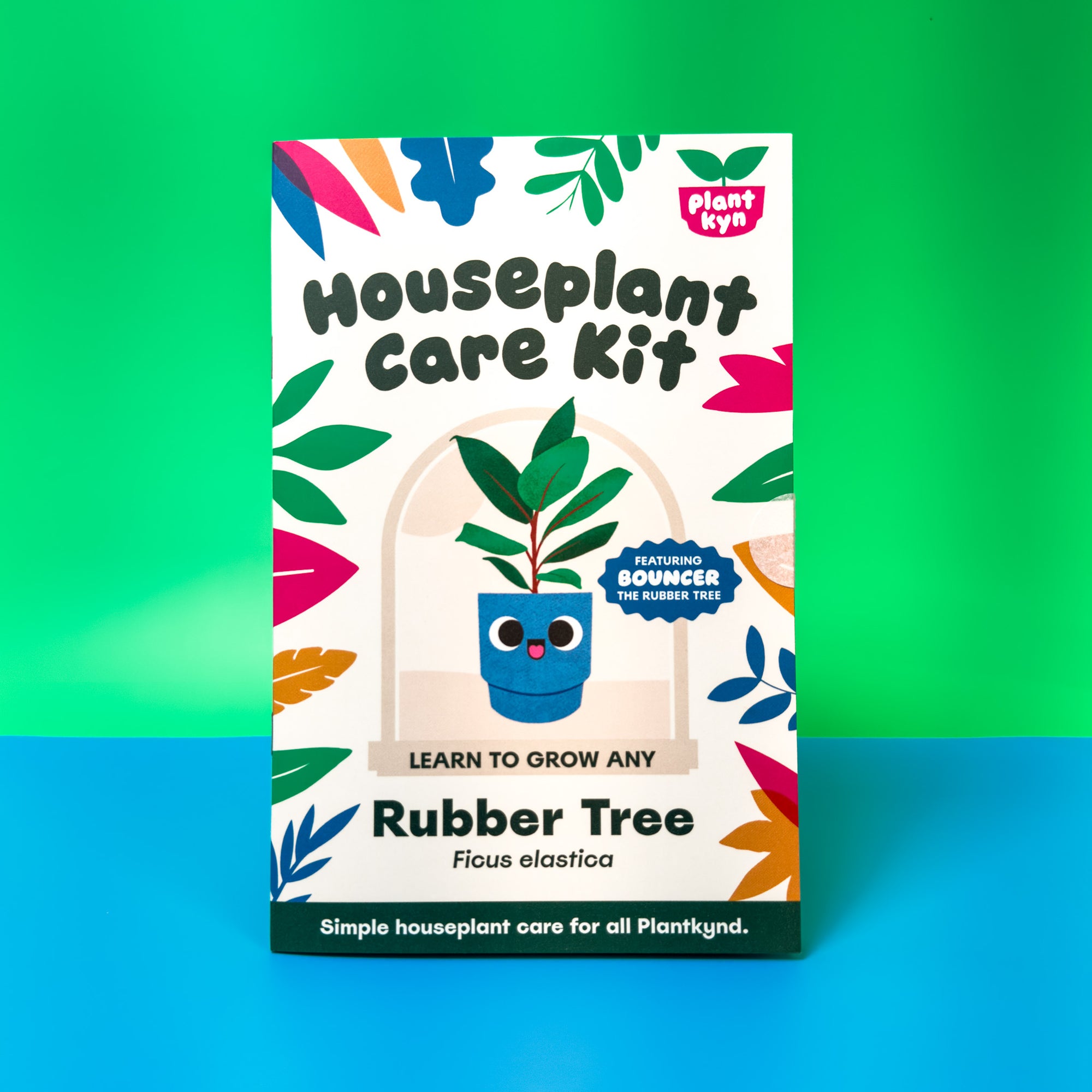 Rubber Tree Care Kit