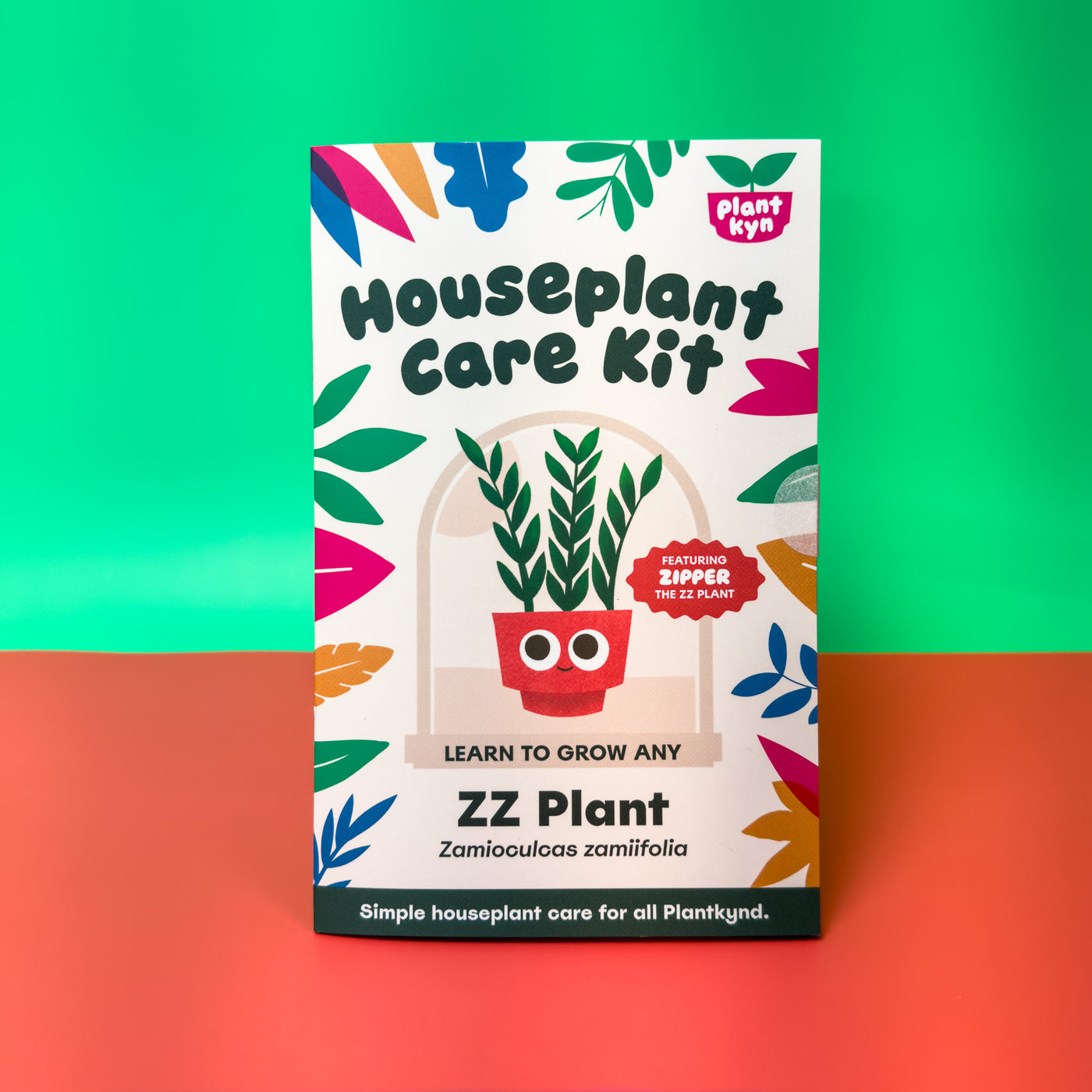 ZZ Plant Care Kit