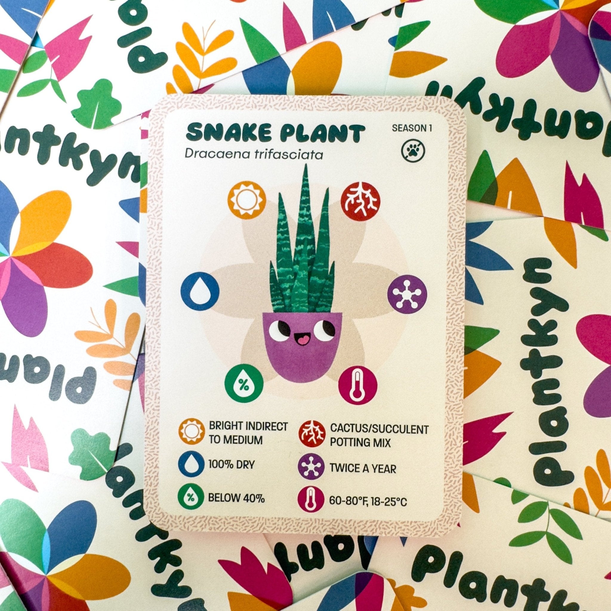 snake plant care card Snake Plant Care Kit – Plantkyn