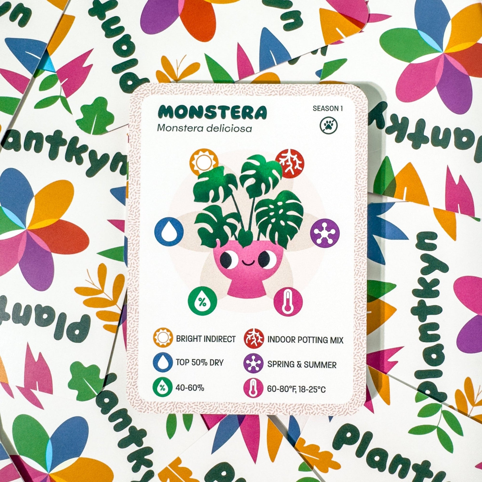 Monstera Care Kit