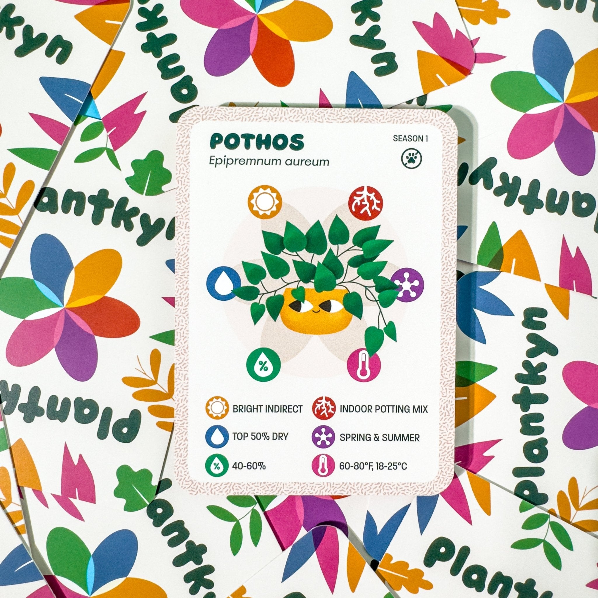 pothos care card Pothos Care Kit – Plantkyn
