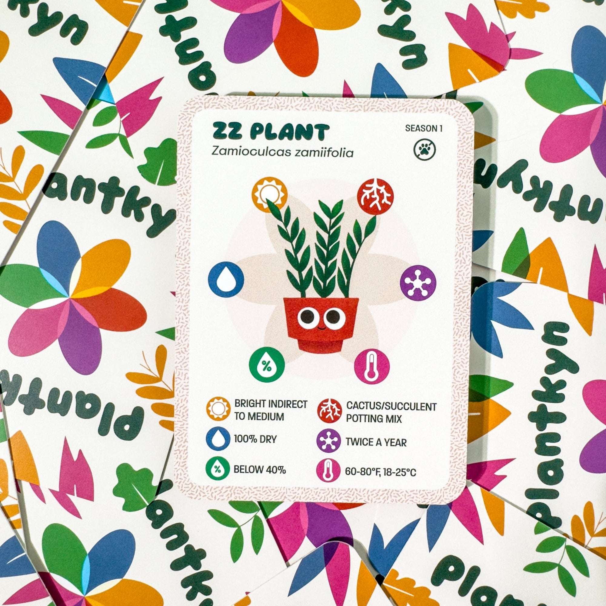 ZZ Plant Care Kit