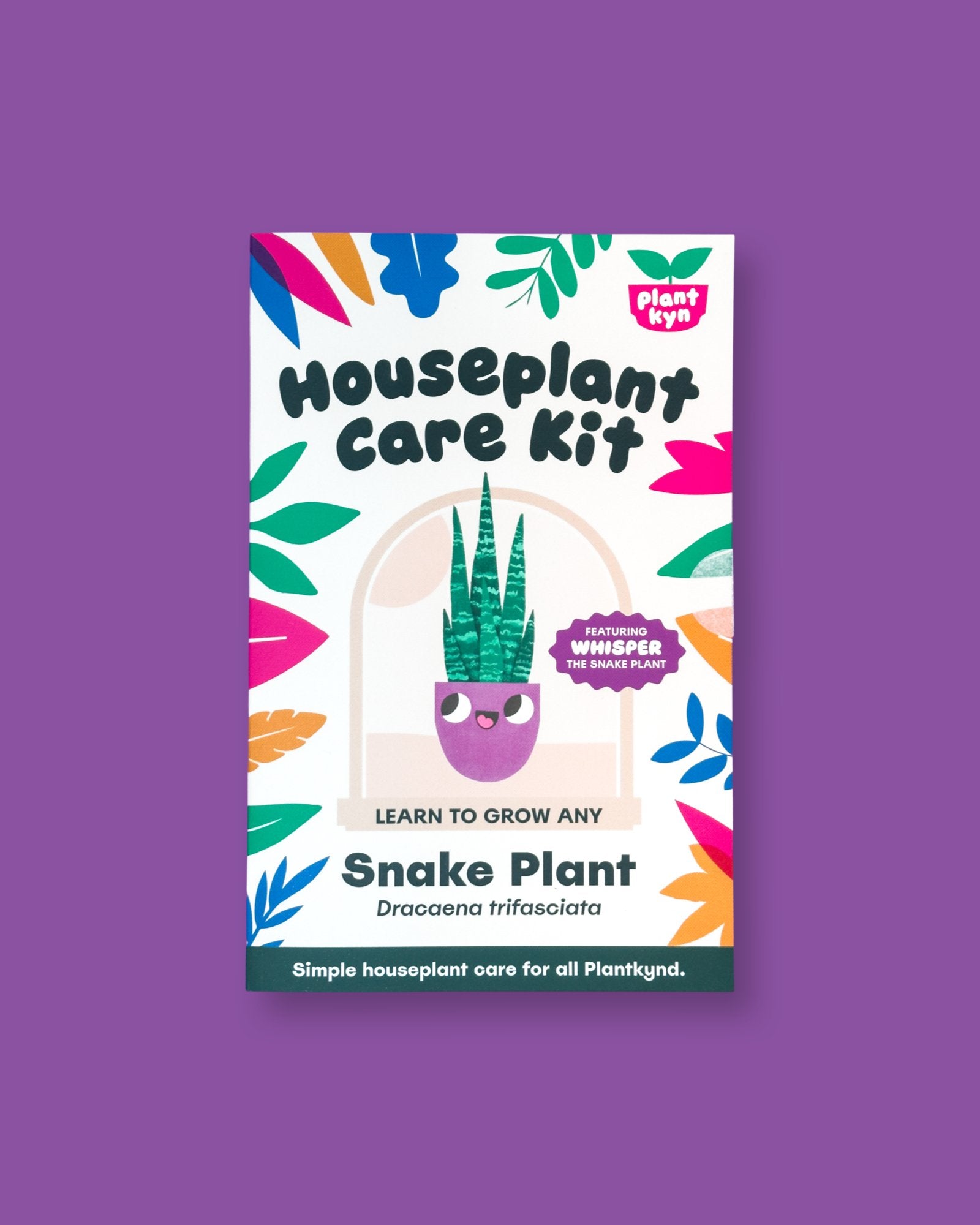 Snake Plant Care Kit