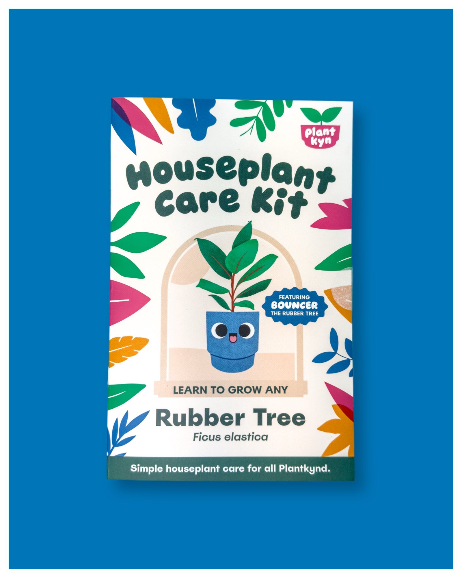 Rubber Tree Care Kit