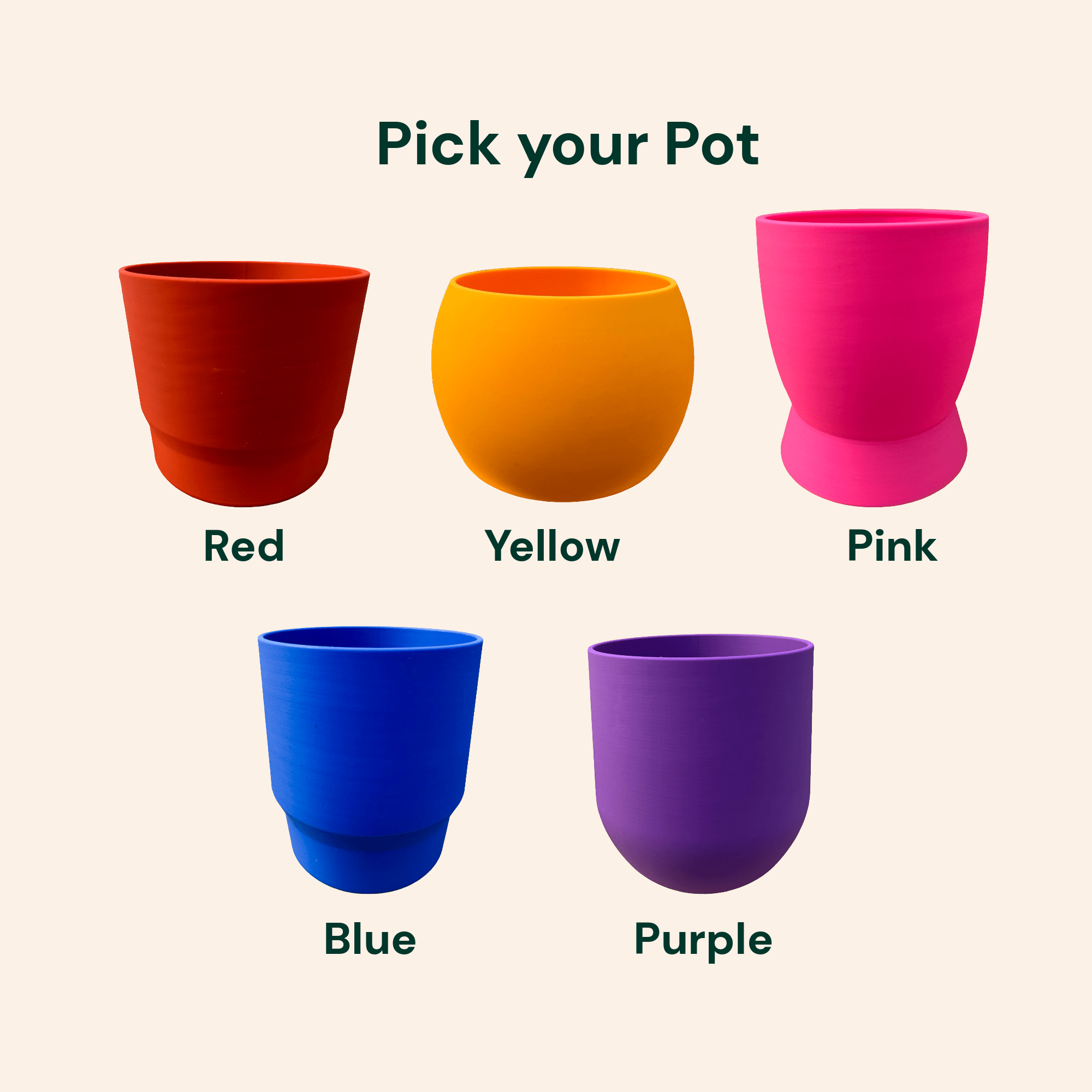 purple pothos care Pothos Care Bundle – Plantkyn