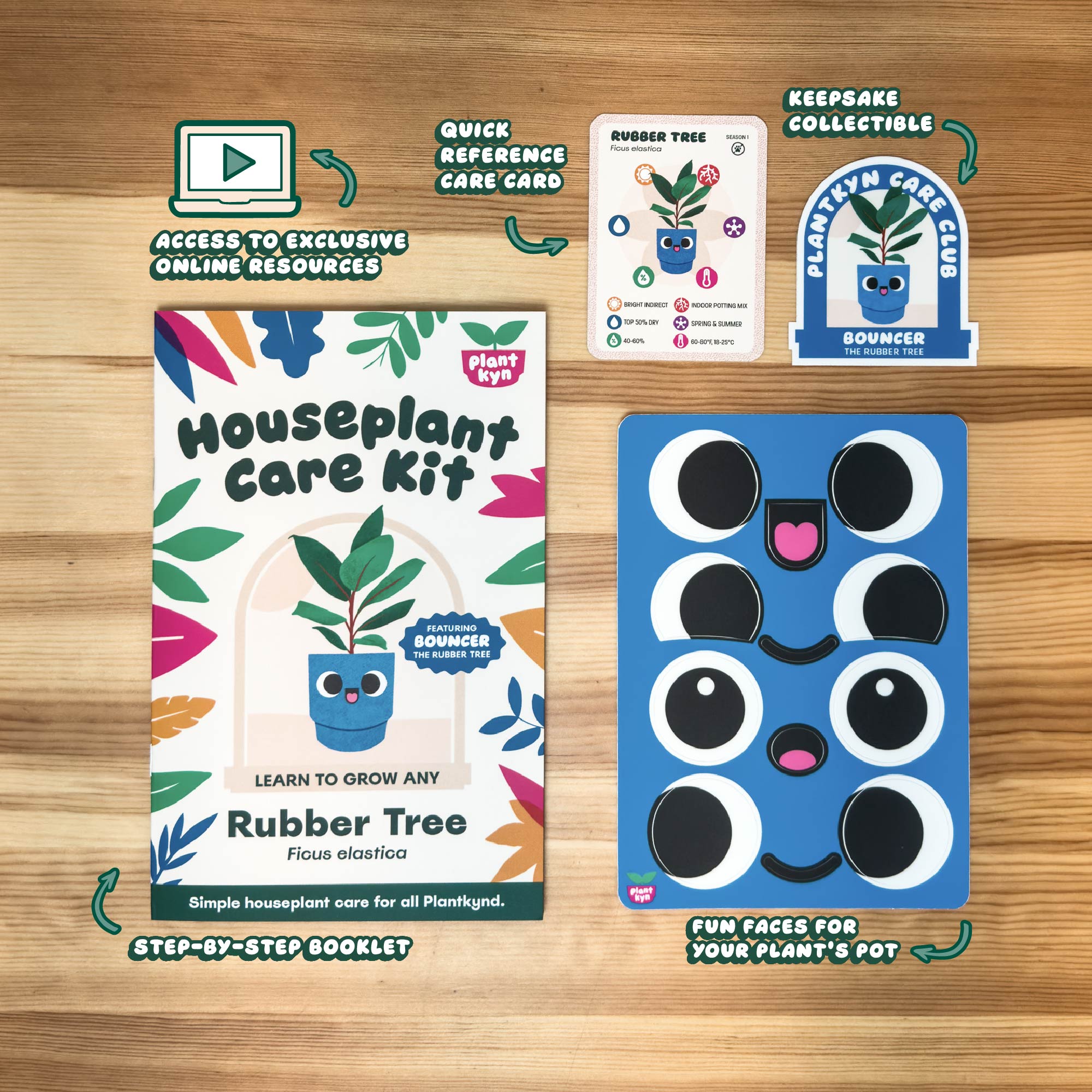 Rubber Tree Care Kit