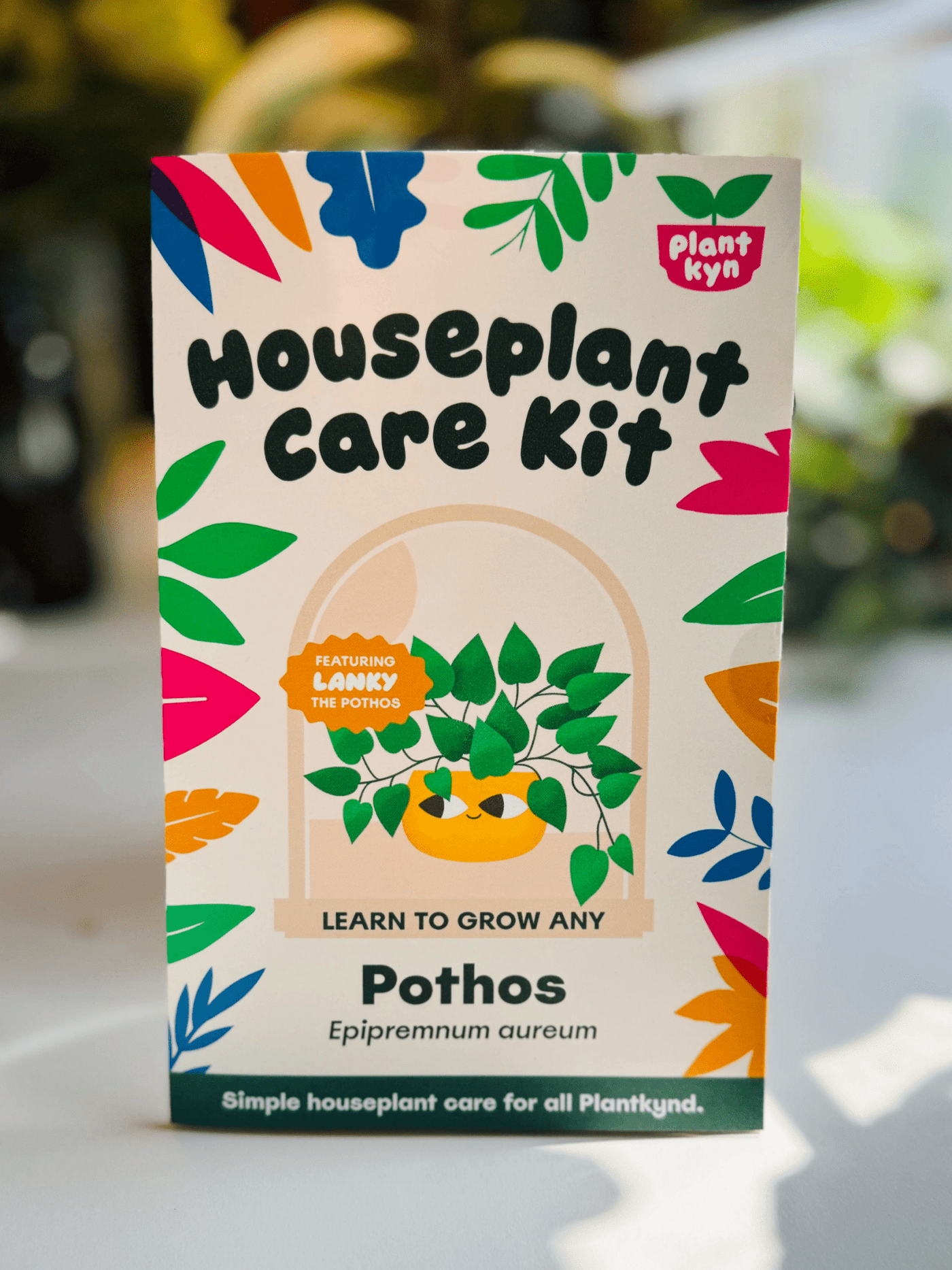 Pothos Care Kit
