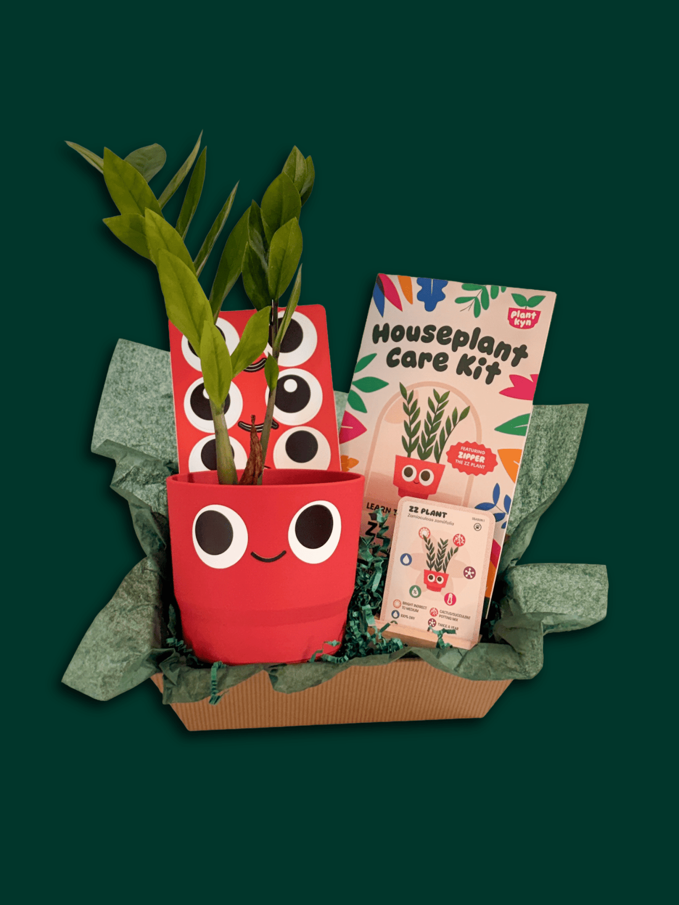 cardboard zz plant ZZ Plant Care Bundle – Plantkyn