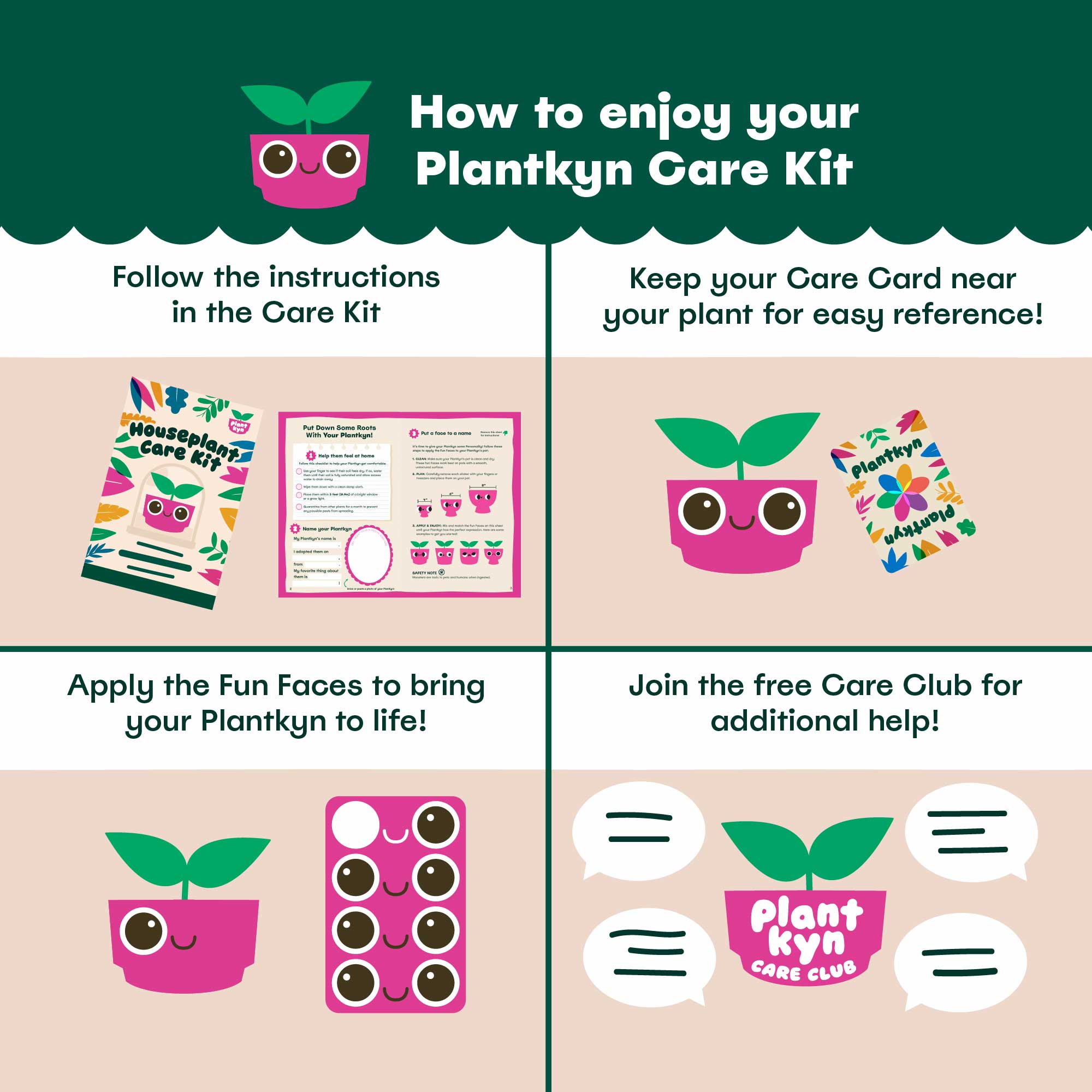 Rubber Tree Care Kit