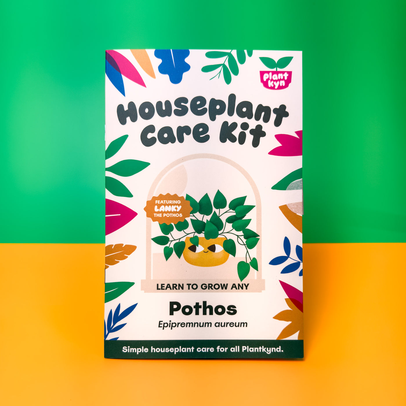 Pothos Care Kit